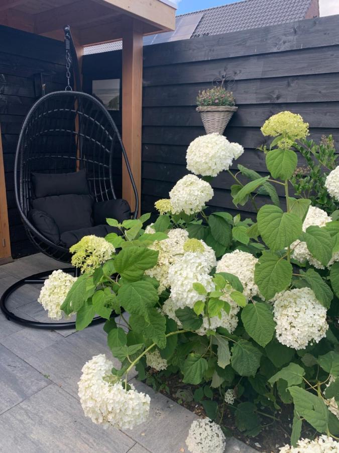 Logies Zen & Zilt Veere Villa Eksteriør bilde